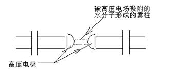 1598942662140339.jpg 4729064_看图王.jpg